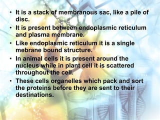 • It is a stack of membranous sac, like a pile of
disc.
• It is present between endoplasmic reticulum
and plasma membrane.
• Like endoplasmic reticulum it is a single
mebrane bound structure.
• In animal cells it is present around the
nucleus while in plant cell it is scattered
throughout the cell.
• These cells organelles which pack and sort
the proteins before they are sent to their
destinations.
 