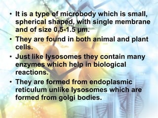 • It is a type of microbody which is small,
spherical shaped, with single membrane
and of size 0.5-1.5 µm.
• They are found in both animal and plant
cells.
• Just like lysosomes they contain many
enzymes which help in biological
reactions.
• They are formed from endoplasmic
reticulum unlike lysosomes which are
formed from golgi bodies.
 