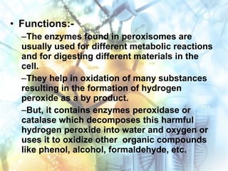 • Functions:-
–The enzymes found in peroxisomes are
usually used for different metabolic reactions
and for digesting different materials in the
cell.
–They help in oxidation of many substances
resulting in the formation of hydrogen
peroxide as a by product.
–But, it contains enzymes peroxidase or
catalase which decomposes this harmful
hydrogen peroxide into water and oxygen or
uses it to oxidize other organic compounds
like phenol, alcohol, formaldehyde, etc.
 