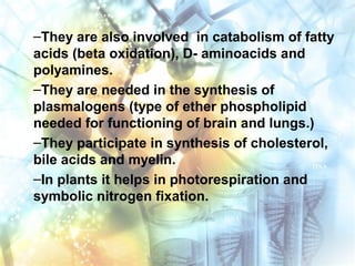 –They are also involved in catabolism of fatty
acids (beta oxidation), D- aminoacids and
polyamines.
–They are needed in the synthesis of
plasmalogens (type of ether phospholipid
needed for functioning of brain and lungs.)
–They participate in synthesis of cholesterol,
bile acids and myelin.
–In plants it helps in photorespiration and
symbolic nitrogen fixation.
 