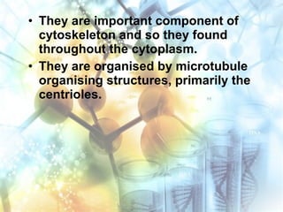 • They are important component of
cytoskeleton and so they found
throughout the cytoplasm.
• They are organised by microtubule
organising structures, primarily the
centrioles.
 