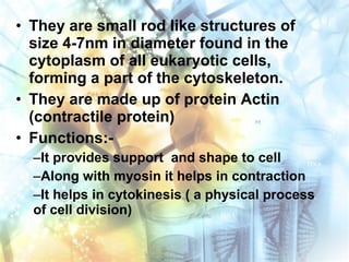 • They are small rod like structures of
size 4-7nm in diameter found in the
cytoplasm of all eukaryotic cells,
forming a part of the cytoskeleton.
• They are made up of protein Actin
(contractile protein)
• Functions:-
–It provides support and shape to cell
–Along with myosin it helps in contraction
–It helps in cytokinesis ( a physical process
of cell division)
 