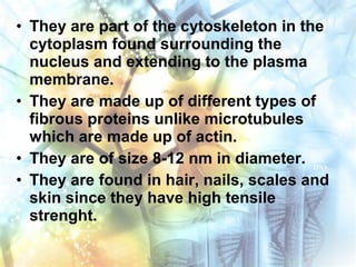 • They are part of the cytoskeleton in the
cytoplasm found surrounding the
nucleus and extending to the plasma
membrane.
• They are made up of different types of
fibrous proteins unlike microtubules
which are made up of actin.
• They are of size 8-12 nm in diameter.
• They are found in hair, nails, scales and
skin since they have high tensile
strenght.
 