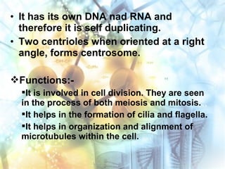 • It has its own DNA nad RNA and
therefore it is self duplicating.
• Two centrioles when oriented at a right
angle, forms centrosome.
Functions:-
It is involved in cell division. They are seen
in the process of both meiosis and mitosis.
It helps in the formation of cilia and flagella.
It helps in organization and alignment of
microtubules within the cell.
 
