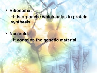 • Ribosome:
–It is organelle which helps in protein
synthesis.
• Nucleoid:
–It contains the genetic material
 