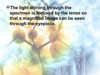 The light shining through the
specimen is focused by the lense so
that a magnified image can be seen
through the eyepiece.
 
