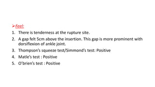 Feel:
1. There is tenderness at the rupture site.
2. A gap felt 5cm above the insertion. This gap is more prominent with
dorsiflexion of ankle joint.
3. Thompson’s squeeze test/Simmond’s test: Positive
4. Matle’s test : Positive
5. O’brien’s test : Positive
 