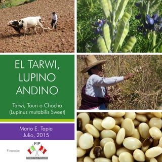 EL TARWI,
LUPINO
ANDINO
Tarwi, Tauri o Chocho
(Lupinus mutabilis Sweet)
Mario E. Tapia
Julio, 2015
Financia:
 
