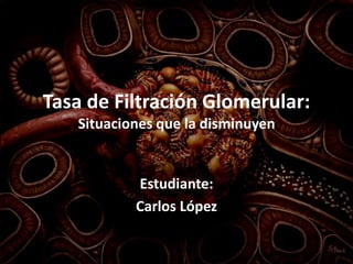 Tasa de Filtración Glomerular:
Situaciones que la disminuyen
Estudiante:
Carlos López
 