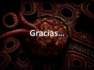 Gracias…
 