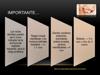 Las raíces
dentales pueden
servir como
indicador de la
anchura del
implante
requerido para la
carga protésica
Región incisal
mandibular y los
incisivos laterales
maxilares →3-
3.5 mm
Dientes maxilares
anteriores,
premolares
ambas arcadas,
caninos
mandibulares→4
mm
Molares → 5-6
mm o dos de 4
mmm
IMPORTANTE…
Misch, Carl, Implantología contemporánea, tercera edición
 