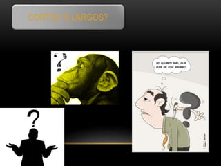 CORTOS O LARGOS?
 