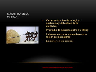 • Varian en funcion de la region
anatomica y del estado de la
denticion.
• Promedio de oclusion entre 5 y 155kg
• La fuerza mayor se encuentran en la
region de los molares
• La menor en los caninos
MAGNITUD DE LA
FUERZA
Misch, Carl, Implantología contemporánea, tercera edición
 