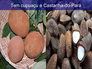 Tem cupuaçu e Castanha-do-Pará
 