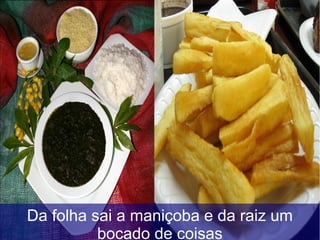 Da folha sai a maniçoba e da raiz um
bocado de coisas
 