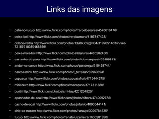 Links das imagens

pato-no-tucupi http://www.flickr.com/photos/marcelosoares/4578616476/

peixe-boi http://www.flickr.com/photos/veraluamaro/4187847438/

cidade-velha http://www.flickr.com/photos/13786369@N04/3192651483/in/set-
72157618359468559/

peixe-mais-boi http://www.flickr.com/photos/lararural/4485202438/

castanha-do-para http://www.flickr.com/photos/luizmarques/432499813/

andar-na-canoa http://www.flickr.com/photos/gustorego/510458741/

barcos-miriti http://www.flickr.com/photos/f_ferreira/262960694/

cupuacu http://www.flickr.com/photos/cupuacufruit/4715444575/

miritizeiro http://www.flickr.com/photos/macapuna/3717311380/

buriti http://www.flickr.com/photos/cmt-luz/4231234820/

apanhador-de-acai http://www.flickr.com/photos/dibars/4740092785/

cacho-de-acai http://www.flickr.com/photos/jmtarrio/4090544141/

cirio-de-nazare http://www.flickr.com/photos/r-araujo/3029784535/

tucupi http://www.flickr.com/photos/renatoluizferreira/1638281990/
 