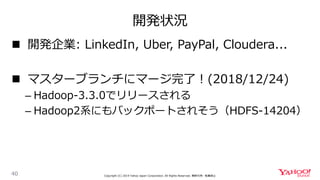 開発状況
40 Copyright (C) 2019 Yahoo Japan Corporation. All Rights Reserved. 無断引用・転載禁止
 開発企業: LinkedIn, Uber, PayPal, Cloudera...
 マスターブランチにマージ完了！(2018/12/24)
– Hadoop-3.3.0でリリースされる
– Hadoop2系にもバックポートされそう（HDFS-14204）
 