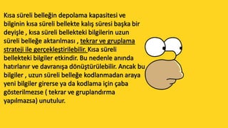 Tasarim