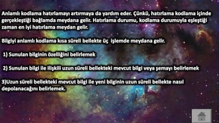 Tasarim