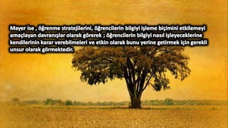 Tasarim