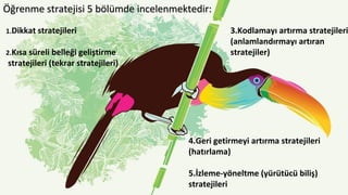 Öğrenme stratejisi 5 bölümde incelenmektedir:Öğrenme stratejisi 5 bölümde incelenmektedir:
1.Dikkat stratejileri
2.Kısa süreli belleği geliştirme
stratejileri (tekrar stratejileri)
4.Geri getirmeyi artırma stratejileri
(hatırlama)
5.İzleme-yöneltme (yürütücü biliş)
stratejileri
3.Kodlamayı artırma stratejileri
(anlamlandırmayı artıran
stratejiler)
 