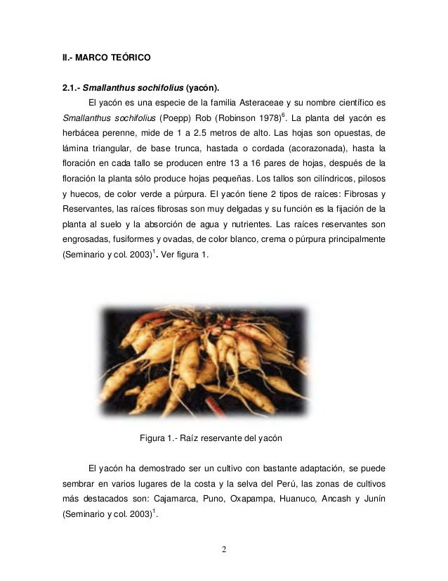 extracto hidroalcolico extracto hidroalcolico