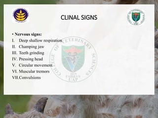 CLINAL SIGNS
• Nervous signs:
I. Deep shallow respiration
II. Champing jaw
III. Teeth grinding
IV. Pressing head
V. Circular movement
VI. Muscular tremors
VII.Convulsions
18/12/2022 14
 