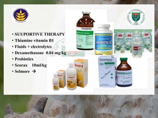 • SUUPORTIVE THERAPY
• Thiamine vitamin B1
• Fluids + electrolytes
• Dexamethasone 0.04 mg/kg
• Probiotics
• Scorax 10ml/kg
• Selmore 
18/12/2022 22
 