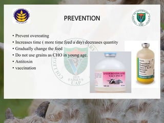 PREVENTION
• Prevent overeating
• Increases time ( more time feed a day) decreases quantity
• Gradually change the feed
• Do not use grains as CHO in young age.
• Antitoxin
• vaccination
18/12/2022 23
 