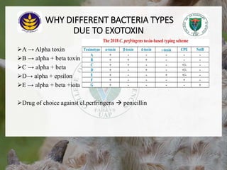 WHY DIFFERENT BACTERIA TYPES
DUE TO EXOTOXIN
A → Alpha toxin
B → alpha + beta toxin
C → alpha + beta
D→ alpha + epsilon
E → alpha + beta +iota
Drug of choice against cl.perfringens  penicillin
18/12/2022 6
 