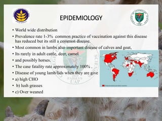 EPIDEMIOLOGY
• World wide distribution
• Prevalence rate 1-3% common practice of vaccination against this disease
has reduced but its still a common disease.
• Most common in lambs also important disease of calves and goat,
• Its rarely in adult cattle, deer, camel
• and possibly horses.
• The case fatality rate approximately 100% .
• Disease of young lamb/lids when they are give
• a) high CHO
• b) lush grasses
• c) Over weaned
18/12/2022 7
 