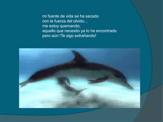 mi fuente de vida se ha secado
con la fuerza del olvido...
me estoy quemando;
aquello que necesito ya lo he encontrado
pero aún !Te sigo extrañando!
 