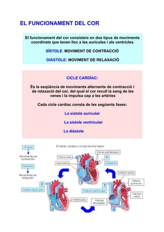 EL FUNCIONAMENT DEL COR
El funcionament del cor consisteix en dos tipus de moviments
coordinats que tenen lloc a les aurícules i als ventricles.
SÍSTOLE: MOVIMENT DE CONTRACCIÓ
DIÀSTOLE: MOVIMENT DE RELAXACIÓ

CICLE CARDÍAC:
És la seqüència de moviments alternants de contracció i
de relaxació del cor, del qual el cor recull la sang de les
venes i la impulsa cap a les artèries
Cada cicle cardíac consta de les següents fases:
La sístole auricular
La sístole ventricular
La diàstole

 