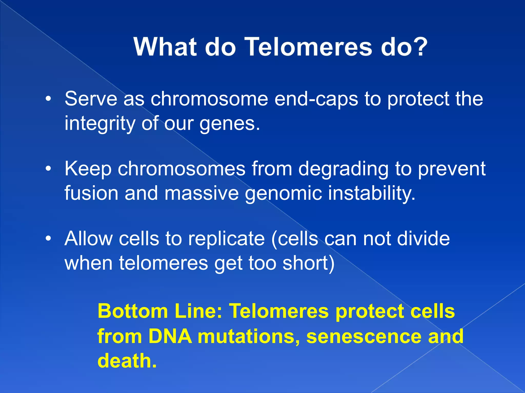 • Serve as chromosome end-caps to protect the
  integrity of our genes.

• Keep chromosomes from degrading to prevent
  fusion and massive genomic instability.

• Allow cells to replicate (cells can not divide
  when telomeres get too short)

      Bottom Line: Telomeres protect cells
      from DNA mutations, senescence and
      death.
 