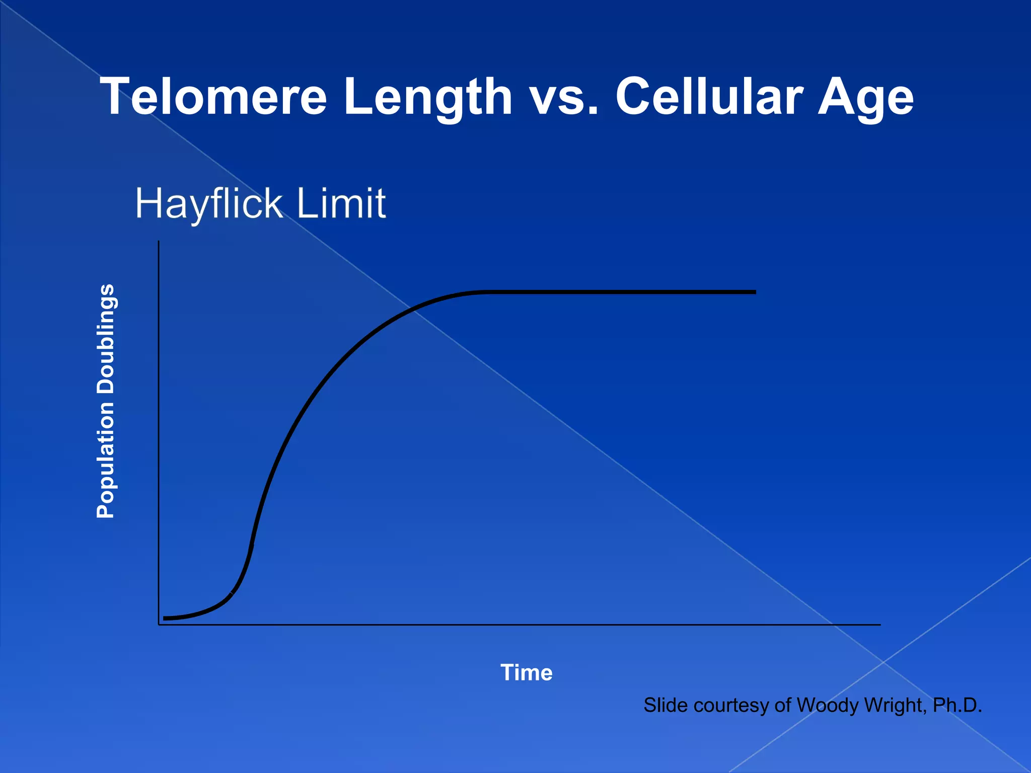Telomere Length vs. Cellular Age
Population Doublings




                       Time
                              Slide courtesy of Woody Wright, Ph.D.
 