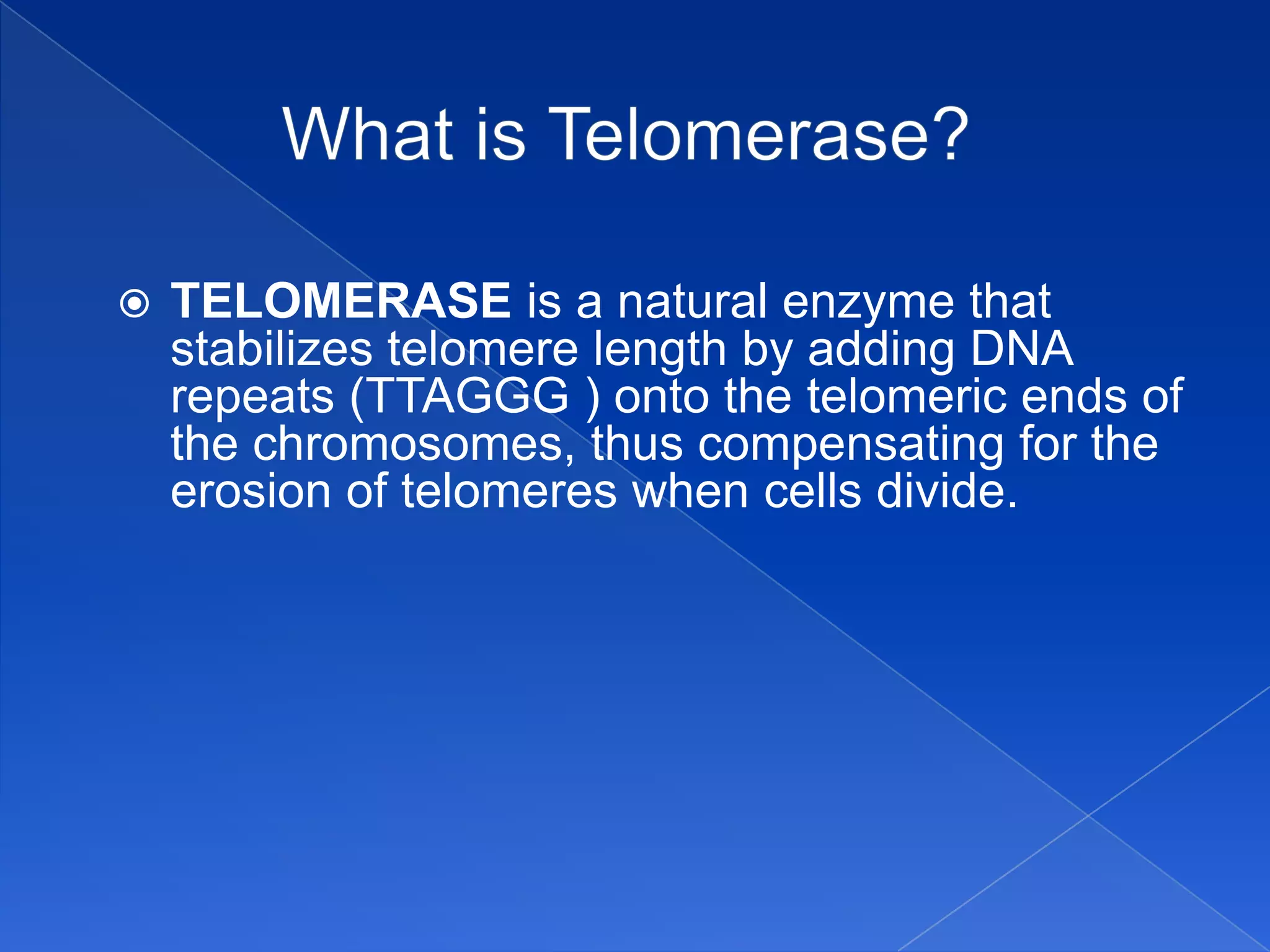    TELOMERASE is a natural enzyme that
    stabilizes telomere length by adding DNA
    repeats (TTAGGG ) onto the telomeric ends of
    the chromosomes, thus compensating for the
    erosion of telomeres when cells divide.
 