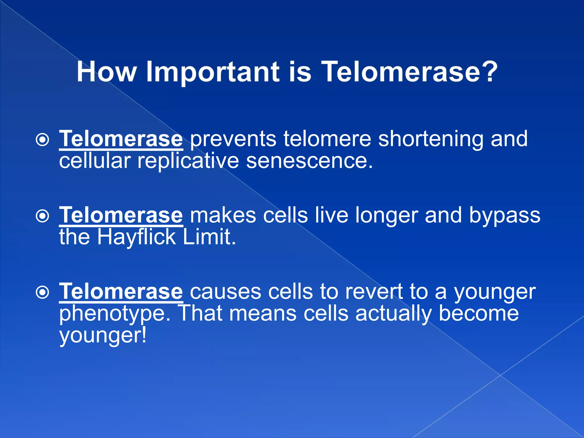    Telomerase prevents telomere shortening and
    cellular replicative senescence.

   Telomerase makes cells live longer and bypass
    the Hayflick Limit.

   Telomerase causes cells to revert to a younger
    phenotype. That means cells actually become
    younger!
 