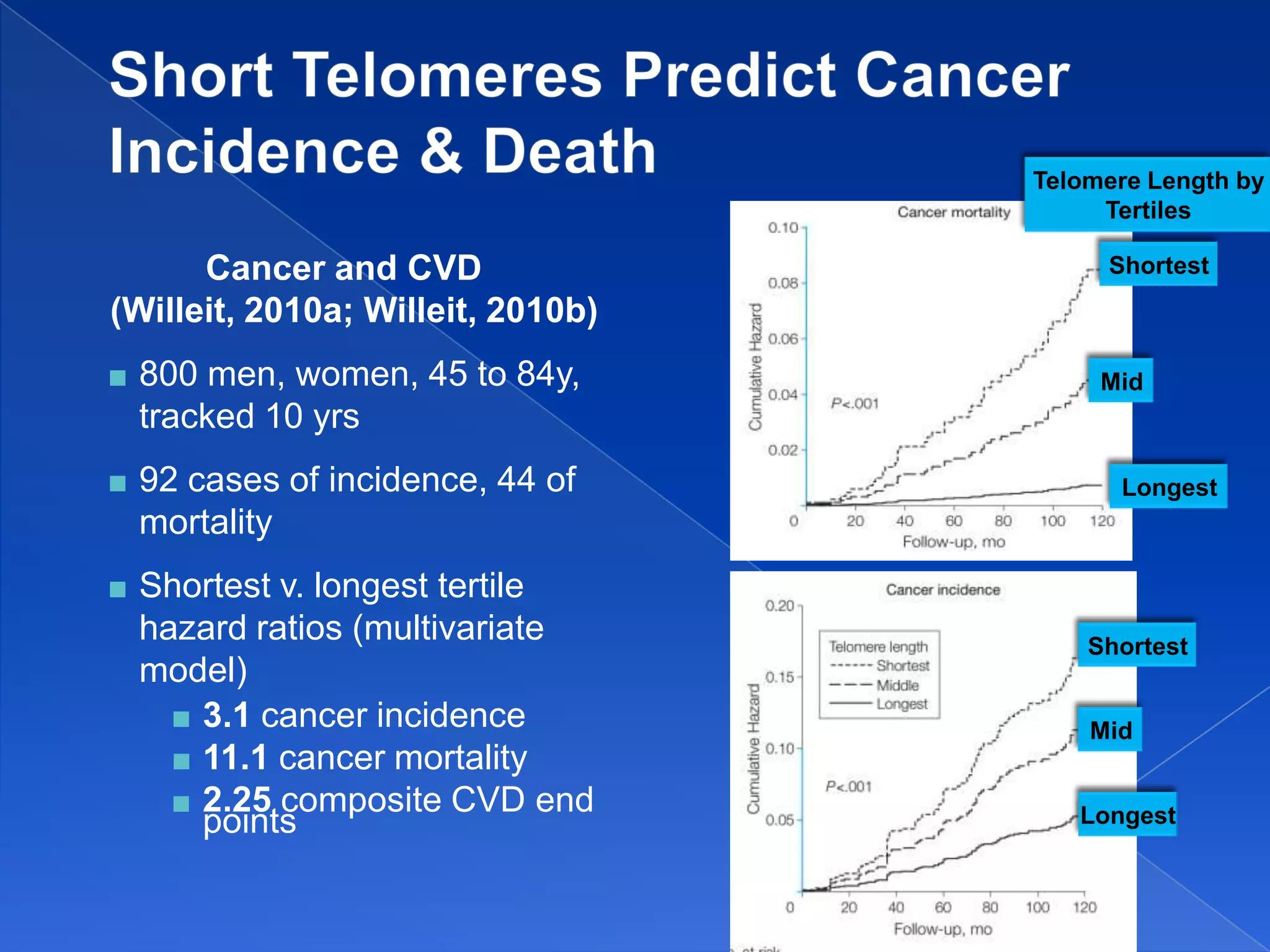 Telomere Length by
                                        Tertiles

      Cancer and CVD                    Shortest
(Willeit, 2010a; Willeit, 2010b)
   800 men, women, 45 to 84y,          Mid
    tracked 10 yrs
   92 cases of incidence, 44 of         Longest
    mortality
   Shortest v. longest tertile
    hazard ratios (multivariate        Shortest
    model)
       3.1 cancer incidence
                                       Mid
       11.1 cancer mortality
       2.25 composite CVD end
        points                        Longest
 
