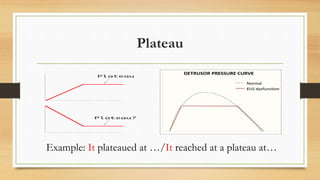 Plateau
Example: It plateaued at …/It reached at a plateau at…
 
