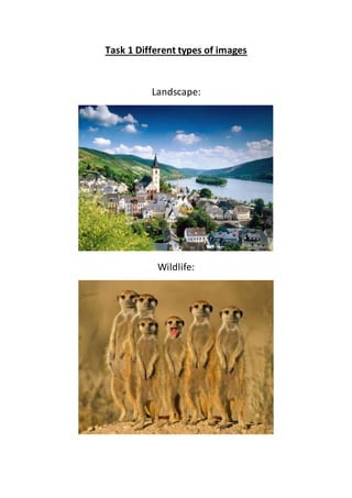 Task 1 Different types of images 
Landscape: 
Wildlife: 
 