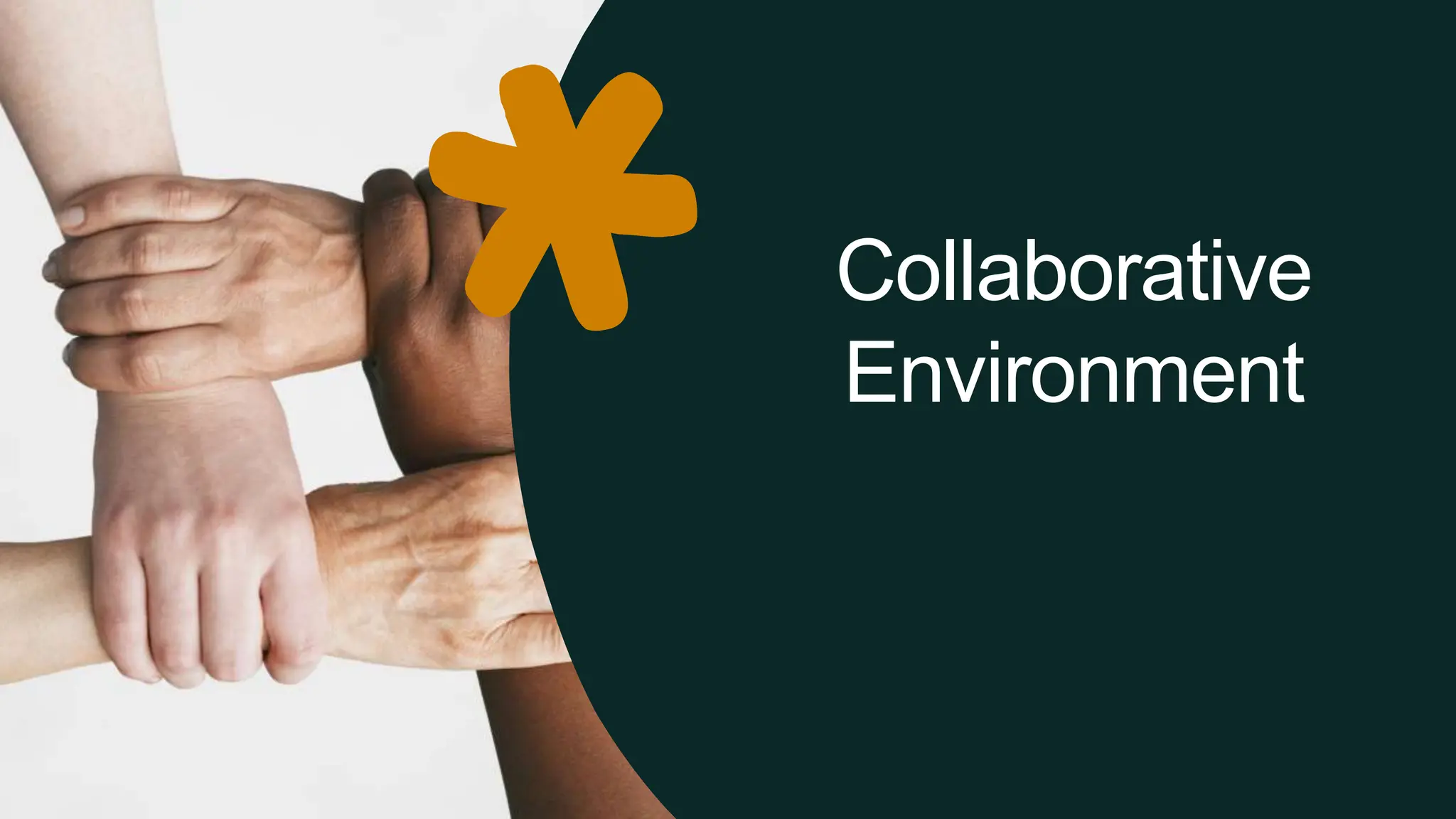 Collaborative Environment 