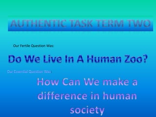 Authentic Task Term Two Our Fertile Question Was: DoWeLiveInA Human Zoo? Our Essential Question Was: How Can We make a difference in human society 
