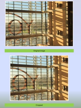 Original image

Cropped

 