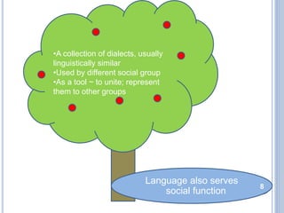 •A collection of dialects, usually
linguistically similar
•Used by different social group
•As a tool ~ to unite; represent
them to other groups
Language also serves
social function
8
 