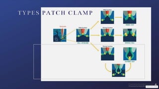 Patch clamp method | PPTX