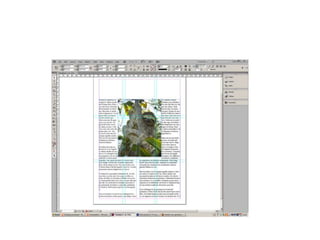 Task 2  page layout- sloth proof