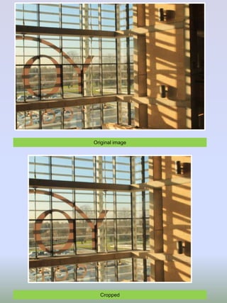 Original image
Cropped
 