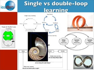 Single vs double-loop 
learning 
14 
 