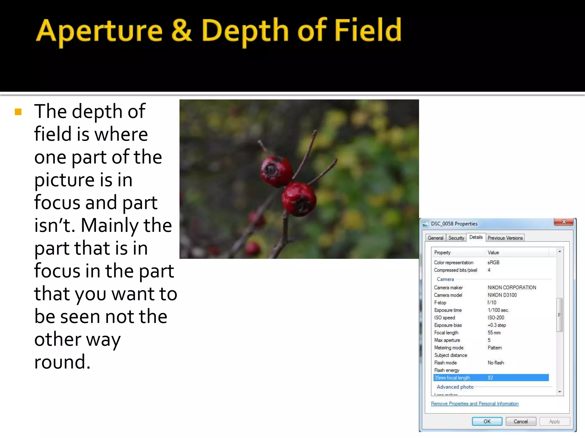  The depth of
field is where
one part of the
picture is in
focus and part
isn’t. Mainly the
part that is in
focus in the part
that you want to
be seen not the
other way
round.
 