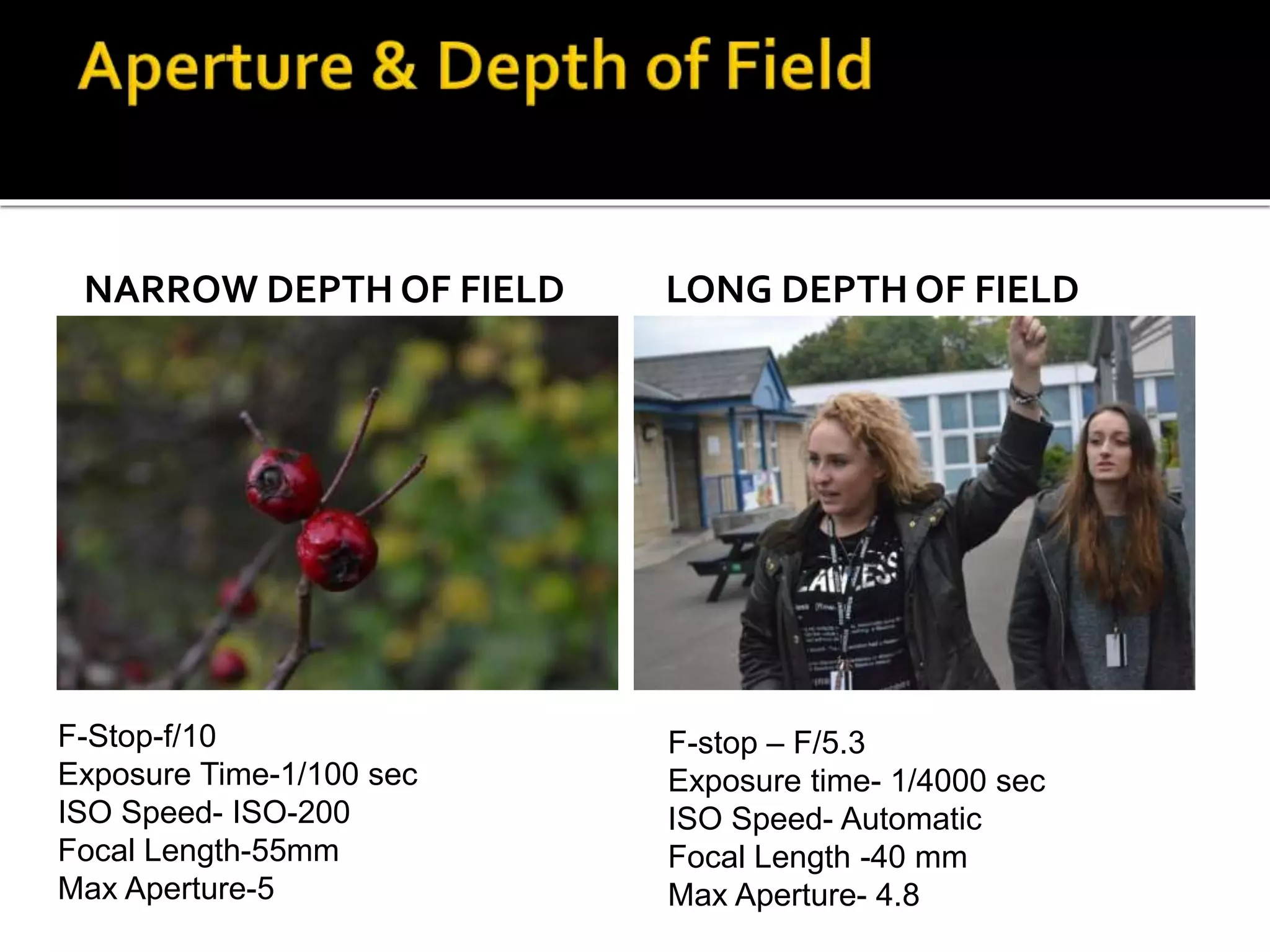 NARROW DEPTH OF FIELD LONG DEPTH OF FIELD
F-stop – F/5.3
Exposure time- 1/4000 sec
ISO Speed- Automatic
Focal Length -40 mm
Max Aperture- 4.8
F-Stop-f/10
Exposure Time-1/100 sec
ISO Speed- ISO-200
Focal Length-55mm
Max Aperture-5
 